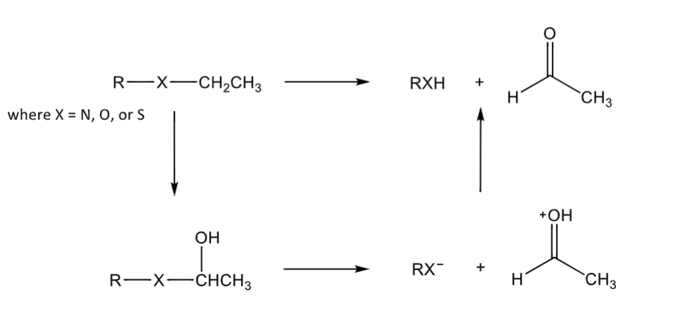 <p>hydroxylation followed by fragmentation</p><p>typical N-substituents removed are typically methyl, ethyl, n-propyl, isopropyl, n-butyl, allyl, and benzyl</p>