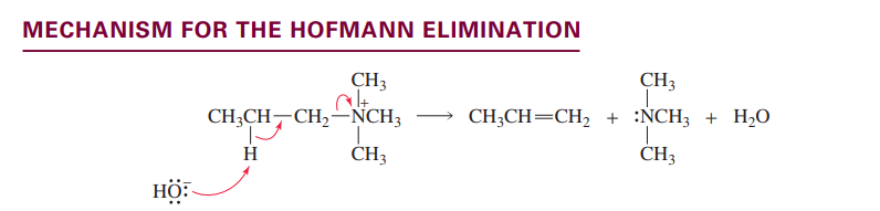 <p>Anti-zaitsev elimination: proton removed from carbon with least protons<br>This is because that creates the most stable alkene transition state.</p>