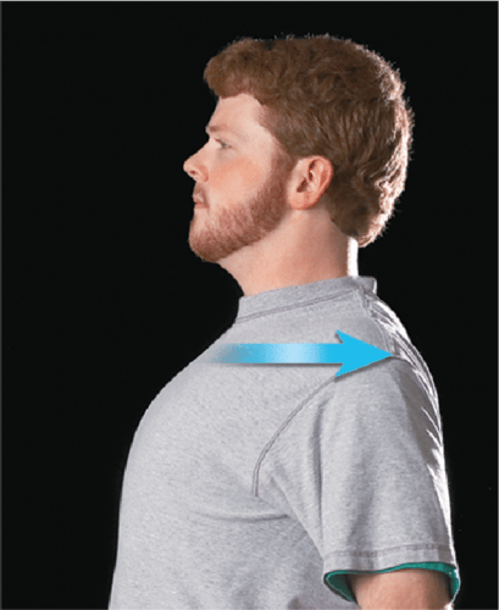 <p>posterior movement</p>