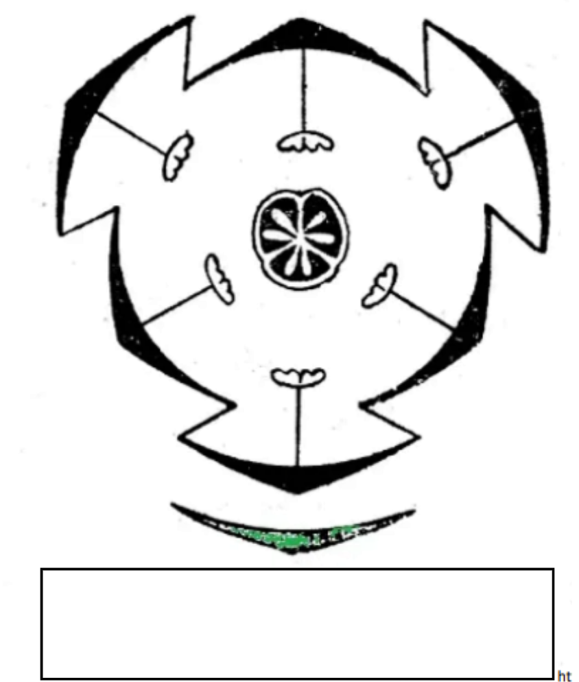 knowt flashcard image