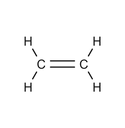 <p>identify the functional group</p>