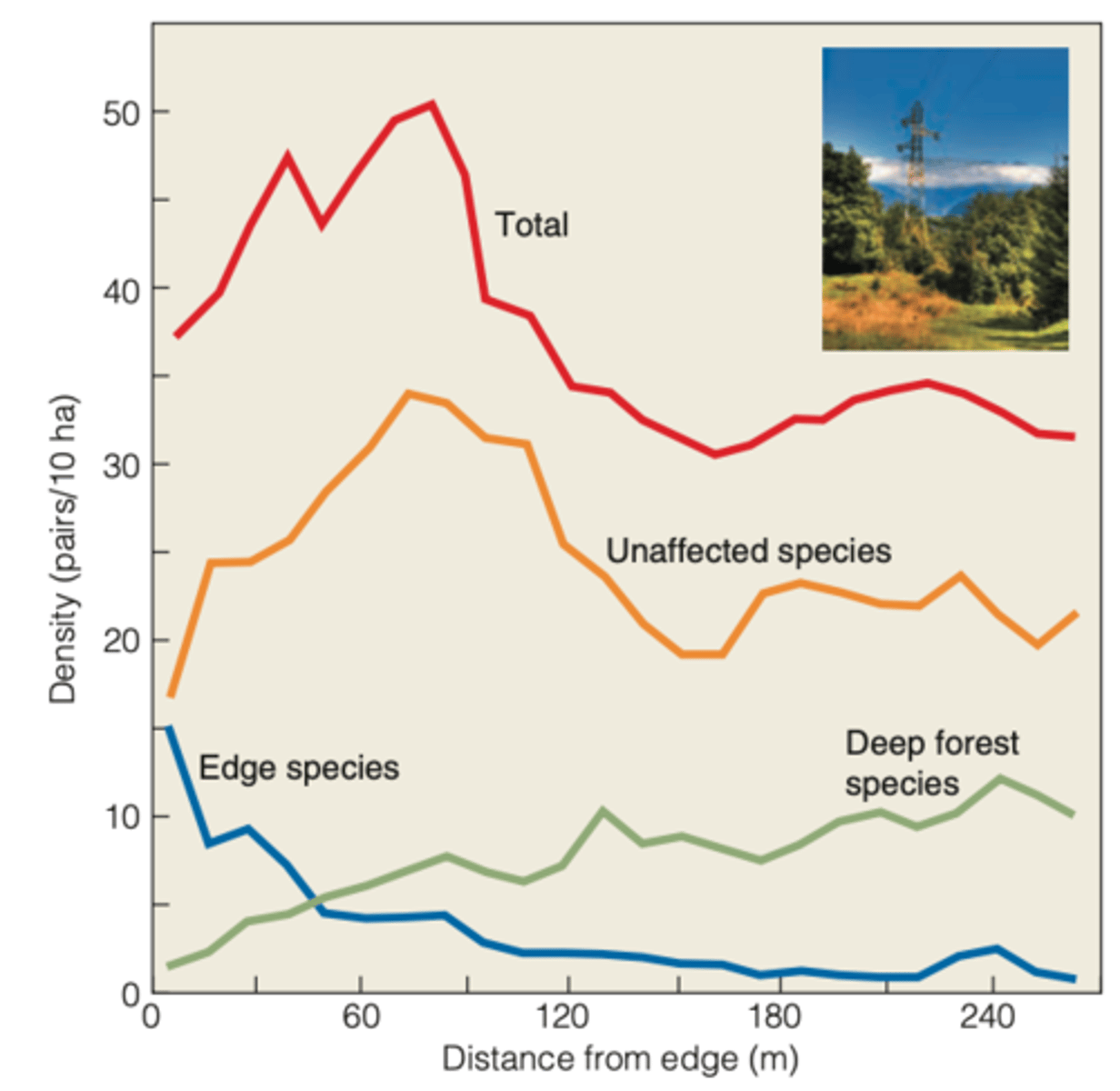 <p>birds like to be near the edge</p><p>- in general, species prefer to be near (but not at) the edge/boundary</p>