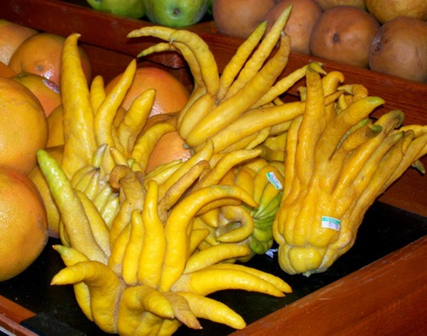 <p>unusual and exciting because from another country: ngoại lai, độc lạ</p>