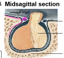 <p>Top to bottom</p>