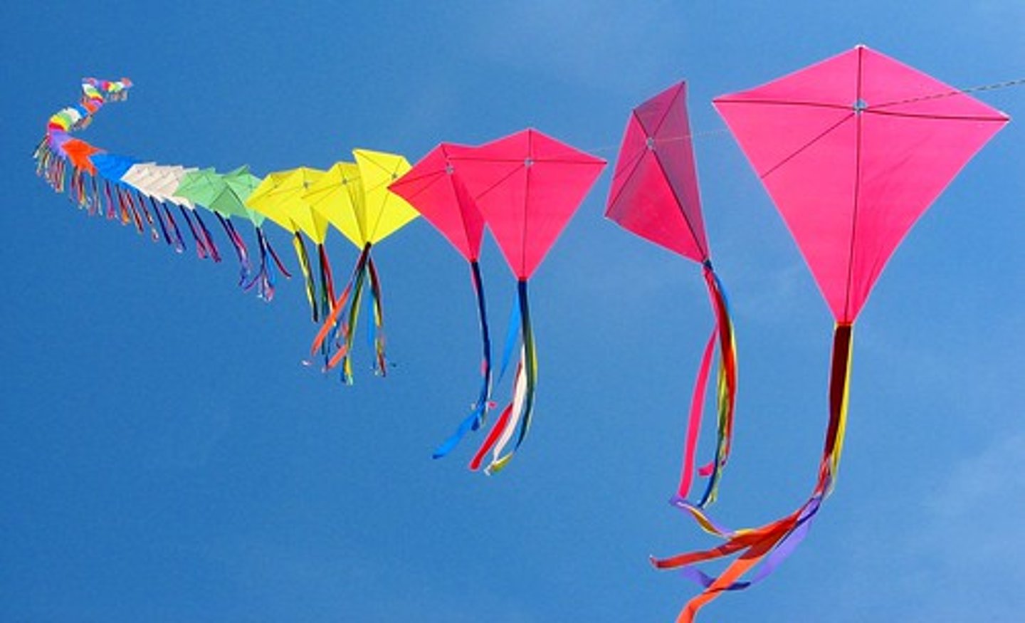 <p>kite</p>