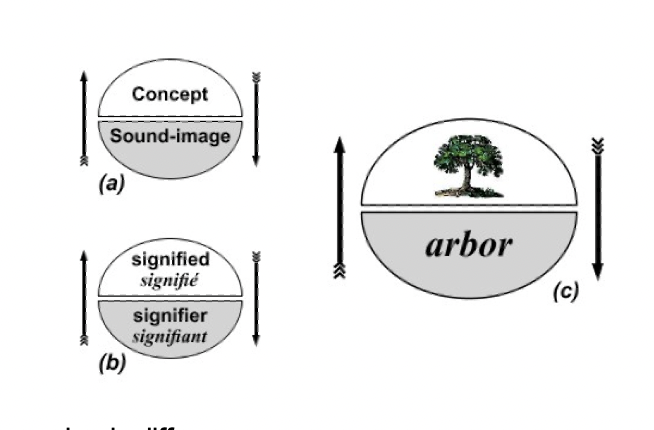 Signifier: the form of the sign, the phonic image (“three” vs “tree”)

Signified: the idea/concept which we associate with the phonic image or sounds

Together these create a sign, which can then be used to refer to an object in reality
In Saussure’s theory, a sign can only exist in relation to other signs because a sign needs to be phonetically differentiated from other sounds to obtain its own identity (e.g. “tree” vs “me”)

Saussure distinguishes between two axes of language, the syntagmatic (horizontal) and the paradigmatic axis (vertical). 