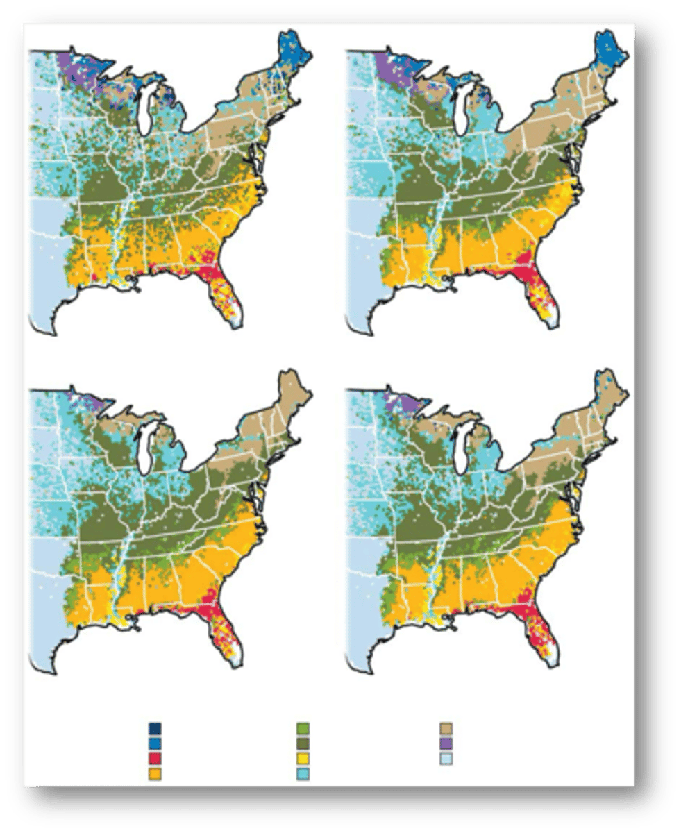 <p>forest types, potential changes in the geographic distribution of forest communities could be examined.</p>