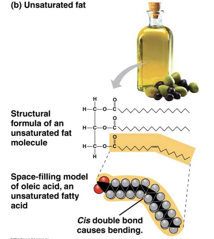 <ul><li><p>One or more double bonds formed by the removal of hydrogen atoms</p></li><li><p>maximal of hydrogen is not covalently bonded</p></li></ul>