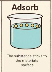 <p>Адсорбция </p>