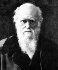 <p>English natural scientist who formulated a theory of evolution by natural selection (1809-1882)</p>