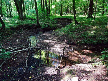 <p>Wetland Type?</p>