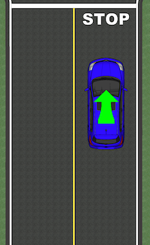 <p>Yellow lane lines</p>