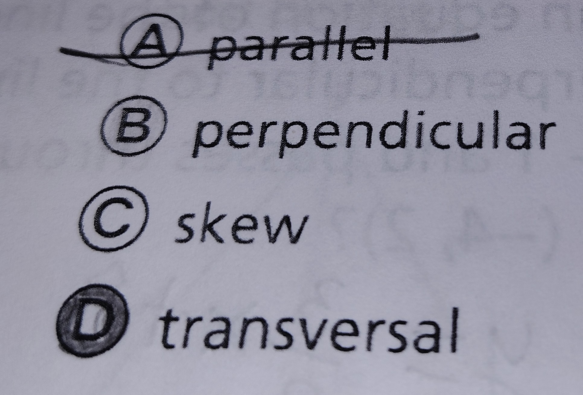 <p>Transversal</p>