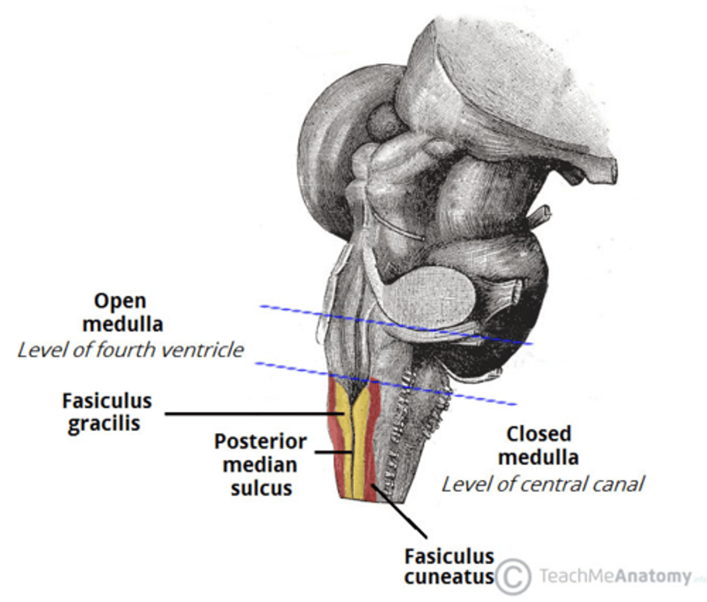 <p>open</p>