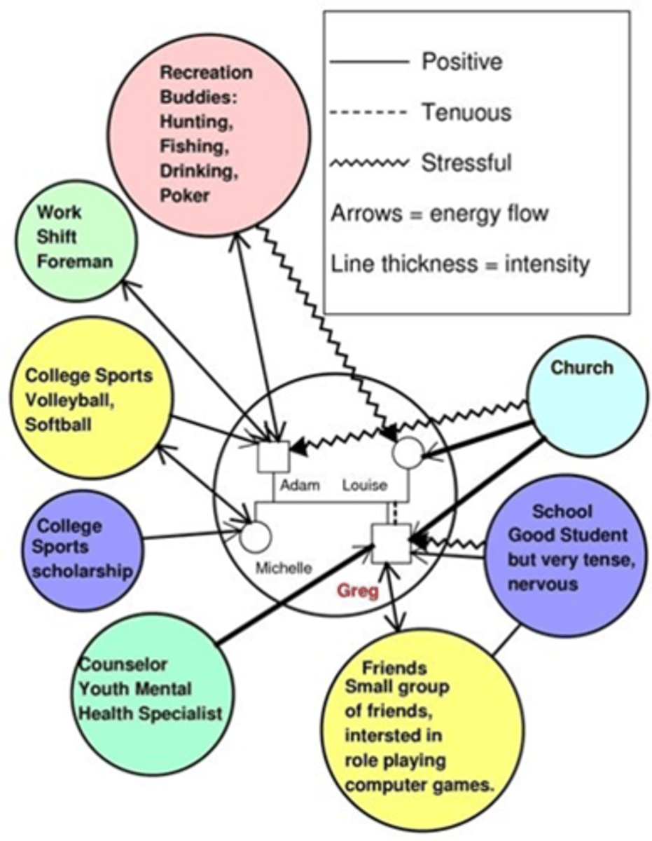 <p>diagram used to identify the direction and intensity of family relationships between members and/or community institutions of importance to the family</p>