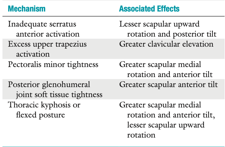 <p><span style="font-family: HelveticaNeue"><strong>Mechanisms of Scapular Dyskinesia</strong></span></p>