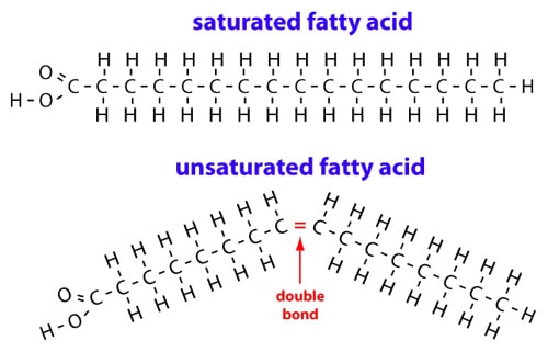 <p>a fatty acid whose carbon chain cannot absorb any more hydrogen atoms; found chiefly in animal fats</p>