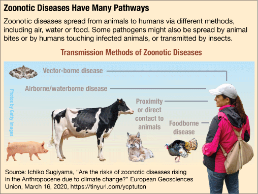 <p><strong>Zoonotic diseases</strong> are <strong><mark data-color="#970d69" style="background-color: #970d69; color: inherit">diseases that can cross species-barriers</mark></strong> and transmit from animals to humans<br><br>Zoonotic diseases include:</p><ol><li><p>Covid-19 = first found in bats</p></li><li><p>HIV = chimpanzees in west-africa</p></li><li><p>Bird Flu = Geese </p></li><li><p>Bubonic Plague = Fleas &amp; Rats</p></li></ol><p></p>