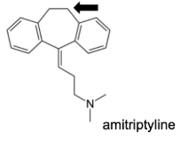 <p>Name Enzyme&nbsp;</p>