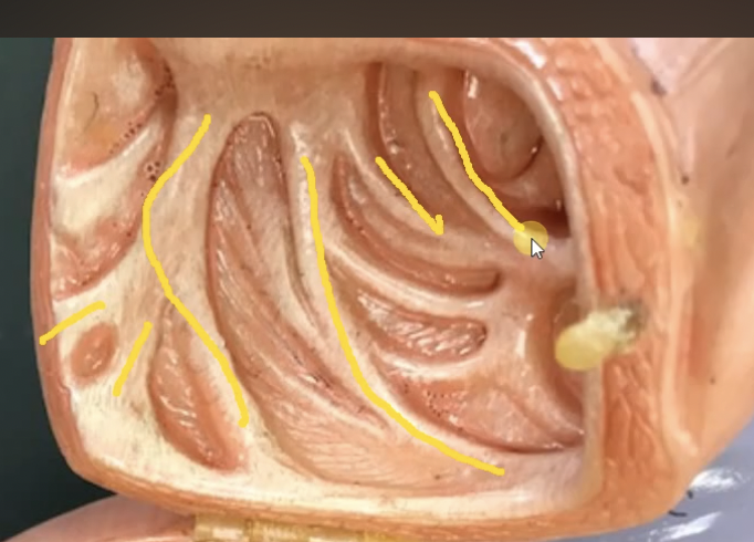 <p>What does this picture represent…</p>