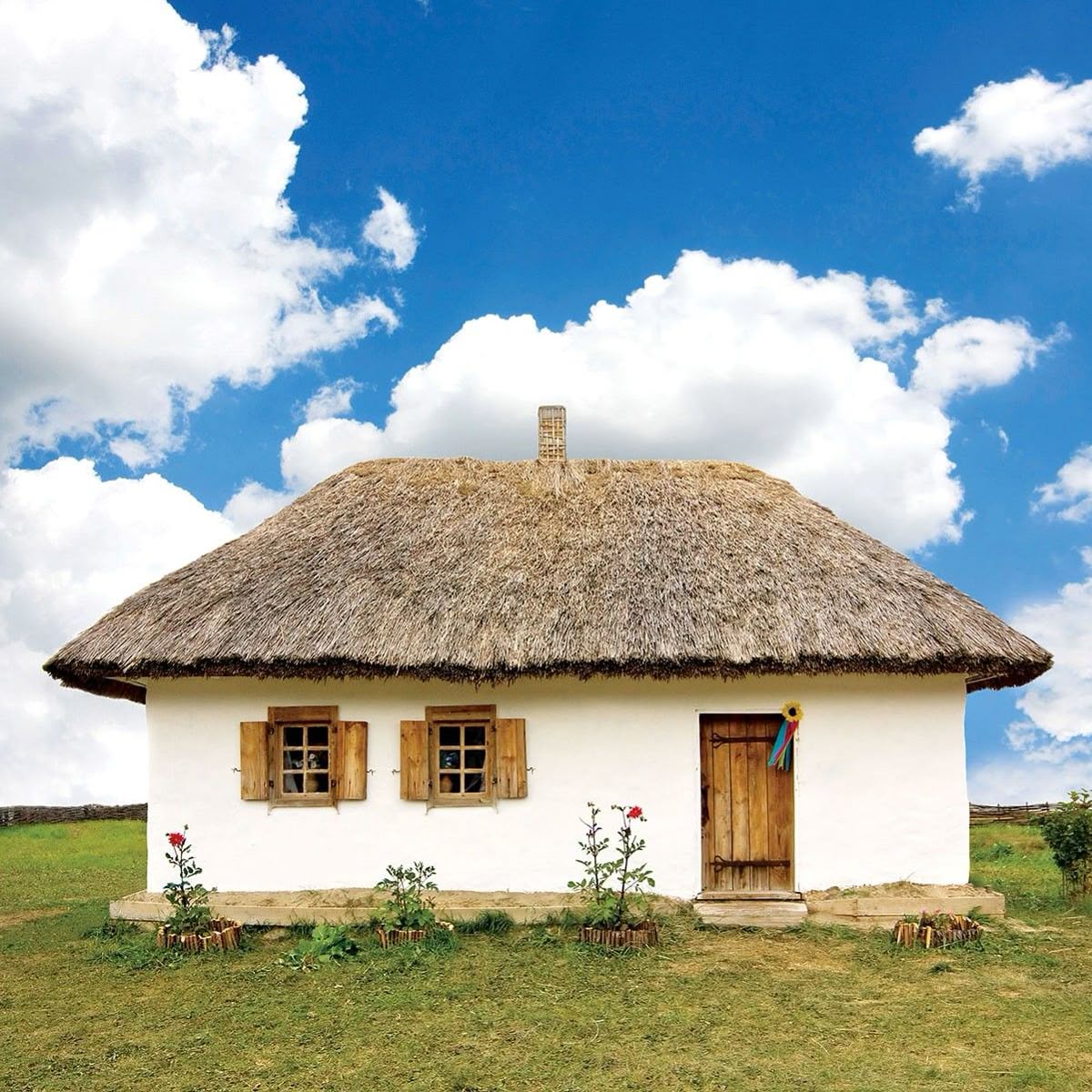 <p>thatched cottage</p>