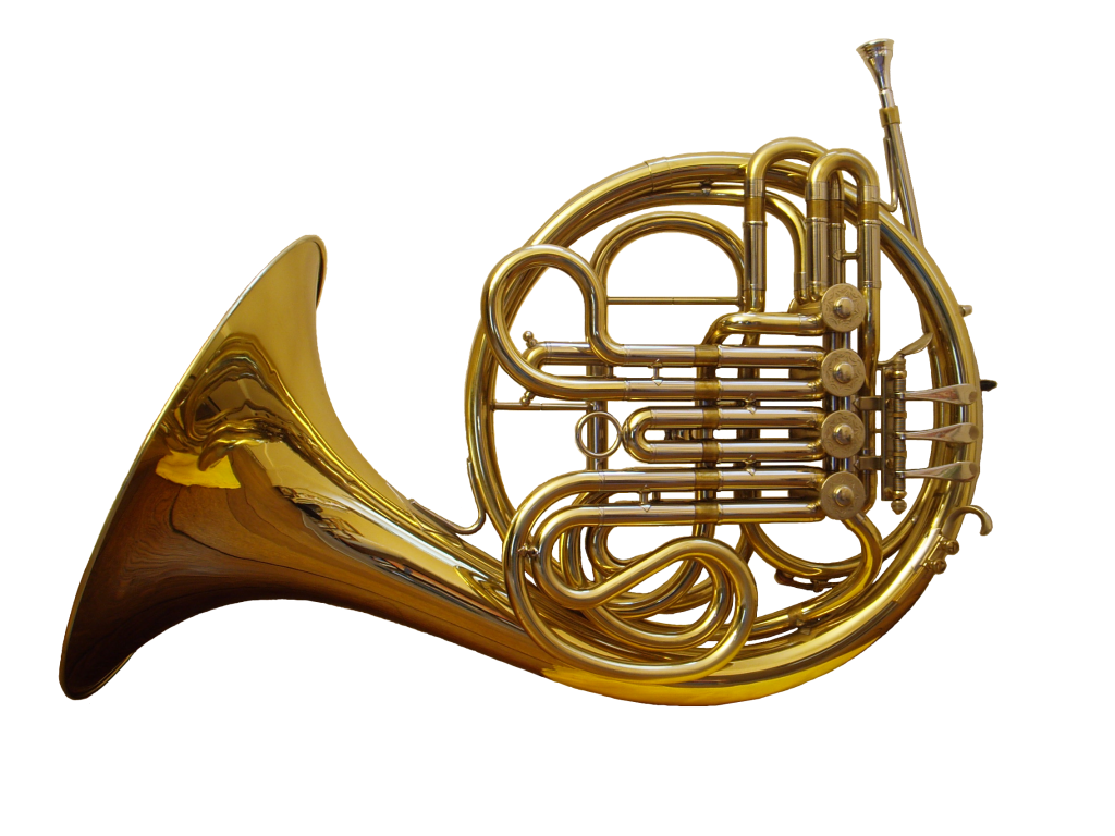 <p>圓號</p>
