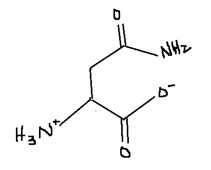 <p>Which amino acid is this?</p>