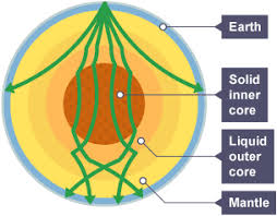 <ul><li><p>longitudinal</p></li><li><p>fast(er) moving</p></li><li><p>travel through solids and liquids</p></li><li><p>refracted so that there are zones where none are detected →indicates there’s a solid core</p></li></ul><p></p>