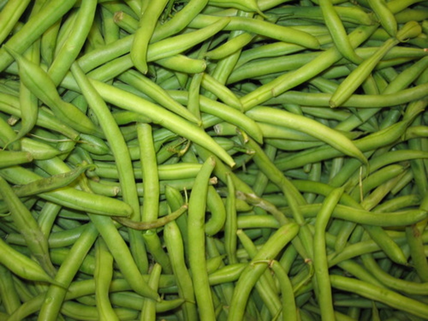 <p>green bean</p>