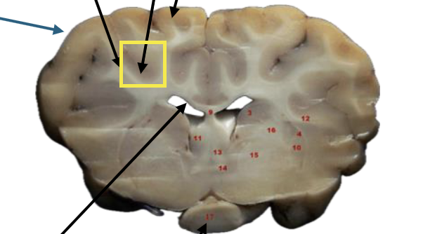 <p>What is this highlighted figure?</p>