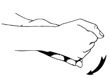 <p>This isometric wrist exercise is called what?</p>