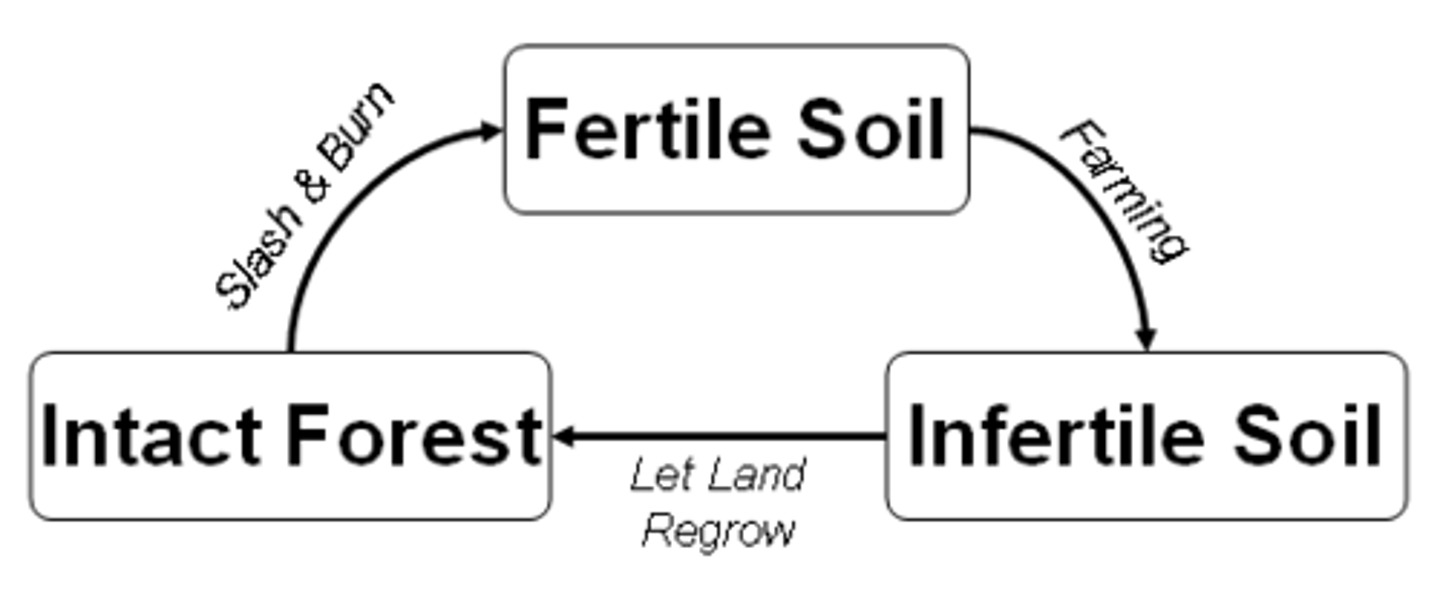 <p>farmers clear vegetation, typically through slash and burn, plant crops, then move to a new area once nutrients are washed out of soil</p><p>TROPICAL RAINFOREST AREAS</p>