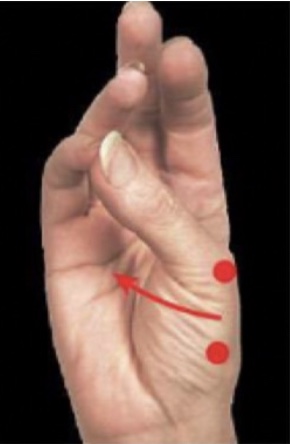 <p>What movement is this?</p>
