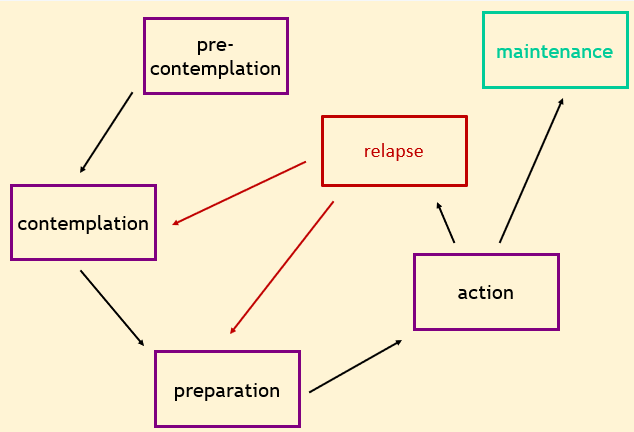 <ul><li><p><span>Transtheoretical model emphasises that behaviour change is a process that requires information, skills development and motivation at different stages</span></p></li><li><p><span>Thinks about how people carry on with a behaviour after the initial decision to make the change</span></p></li><li><p><span>Precontemplation is when they are unaware of the issue, they do not see a need to change</span></p></li><li><p><span>Contemplation is just debating whether or not changing is worth it</span></p></li><li><p><span>Preparation is getting ready to make the change, like throwing away all the junk food and buying healthy food now</span></p></li></ul><p></p>