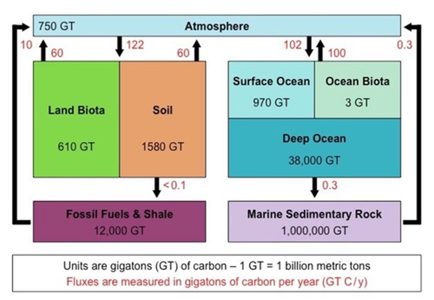 <p>Carbon Sink:</p><p>-absorbs more carbon than it releases</p><p>Carbon Source:</p><p>-releases more carbon than it absorbs</p>