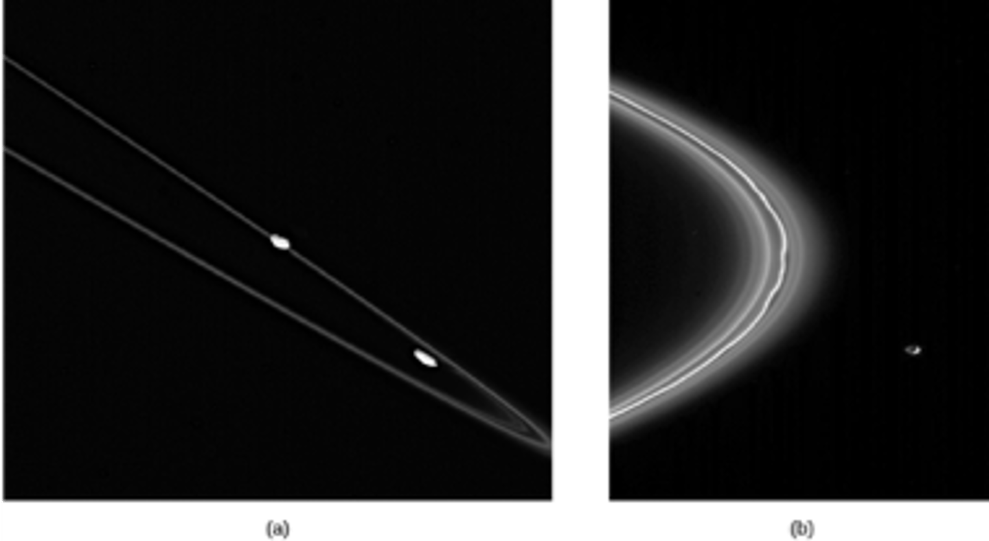 <p>Which thin ring is twisted into braids?</p>