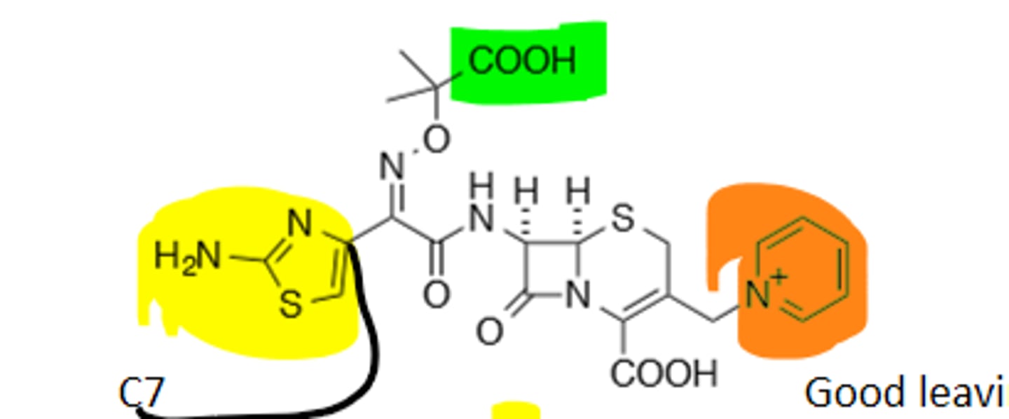 <p>3rd Generation Cephalosporin, more gram (-) coverage, enhanced stability vs B-Lactamases, good leaving group (Parenteral only). Cross allergenicity with penicillins.</p>
