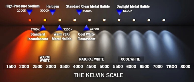 <p>The higher the (K) kelvin color scale (cool white/blue), the ____ the photon efficacy.</p>