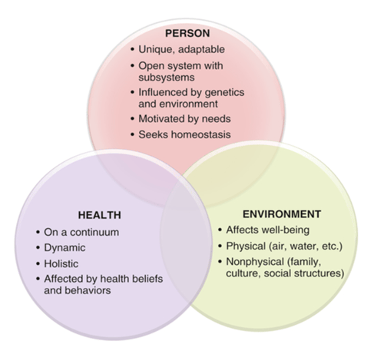 <p>-Person</p><p>-Environment</p><p>-Health</p>