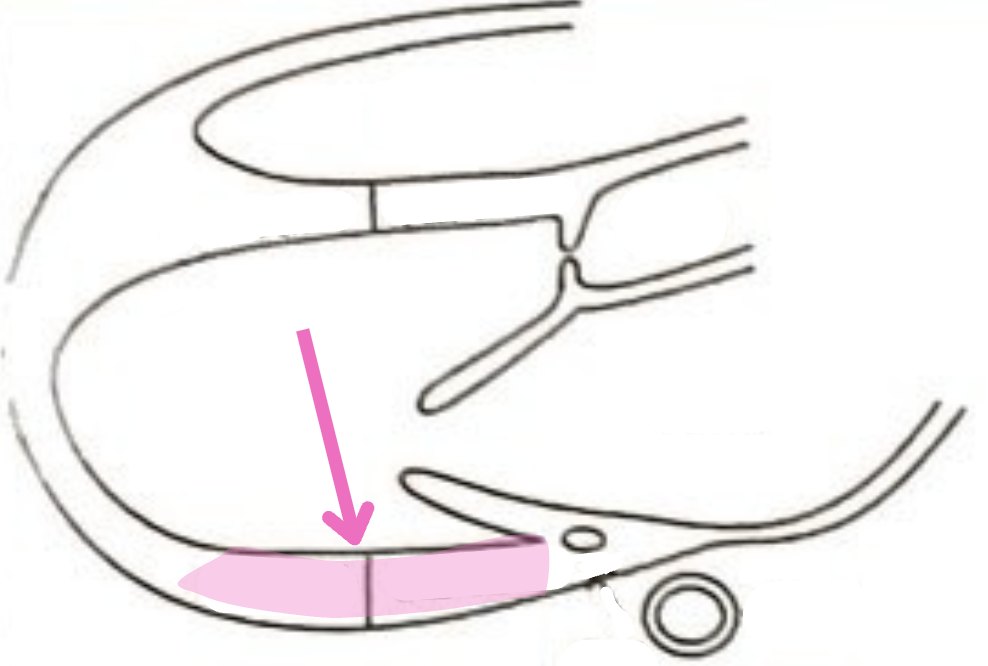 <p>What is this structure? </p>