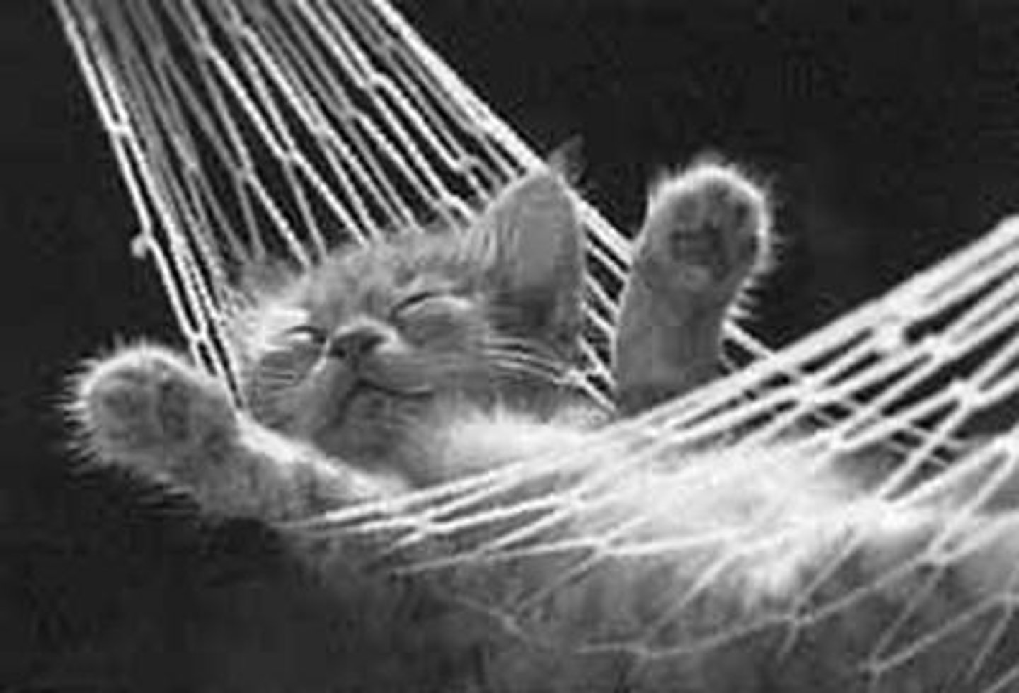 <p>to relax</p>