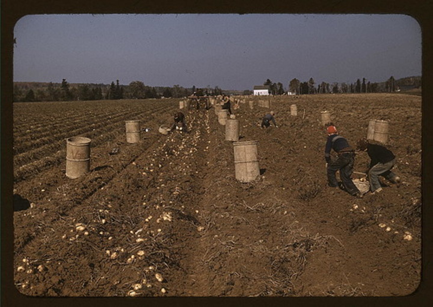 <p>the extraction of natural resources, such as agriculture, lumbering, and mining</p>