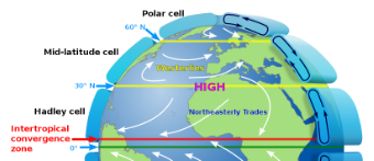 <p>Describe the movement of air between the Hadley Cell, Mid-Latitude (Ferrel) Cell, and Polar Cell</p>