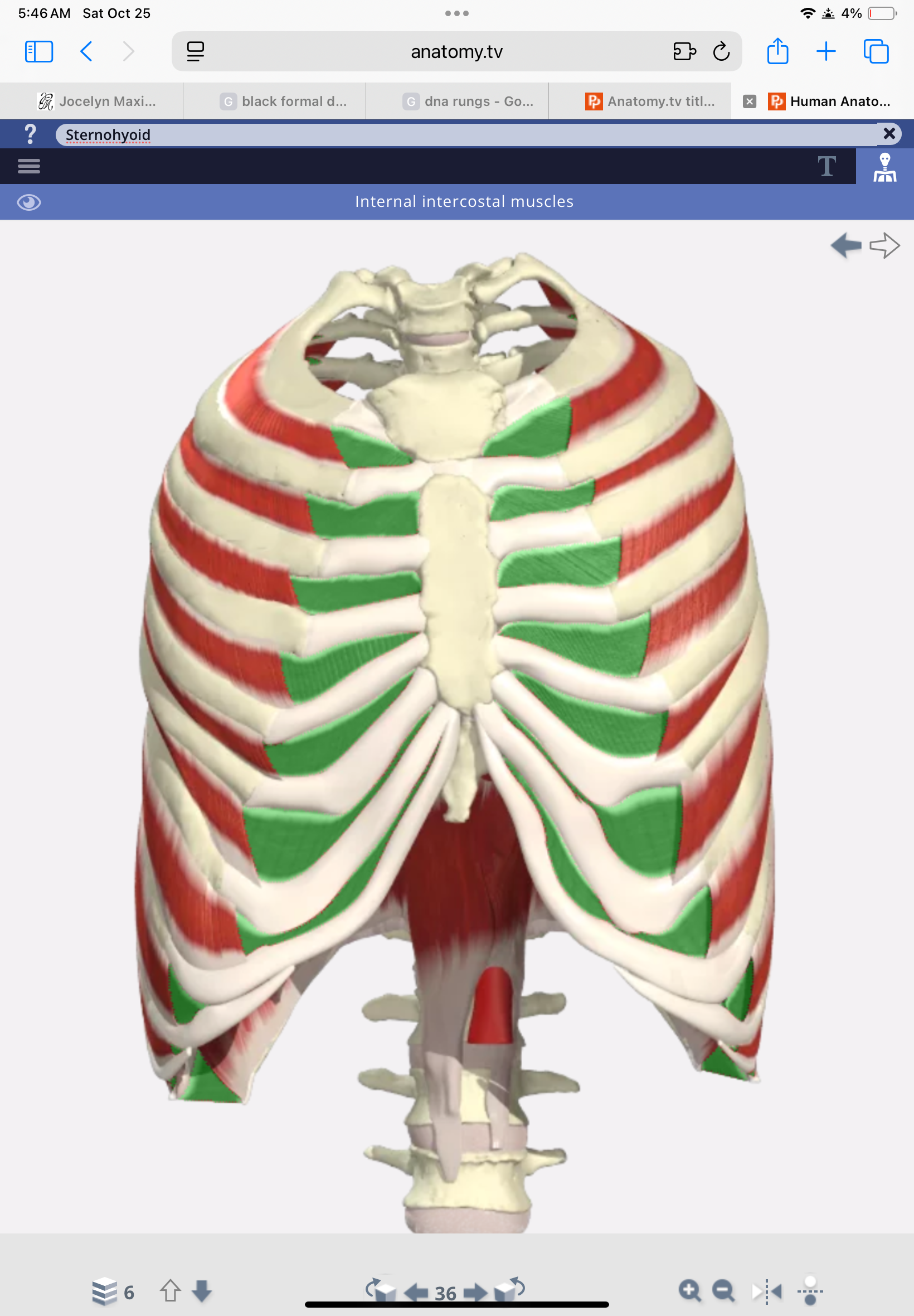 knowt flashcard image