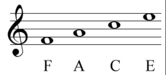 <p></p>