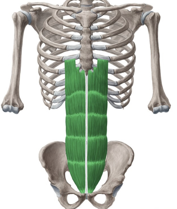 <p>expiration, depress rib cage</p>