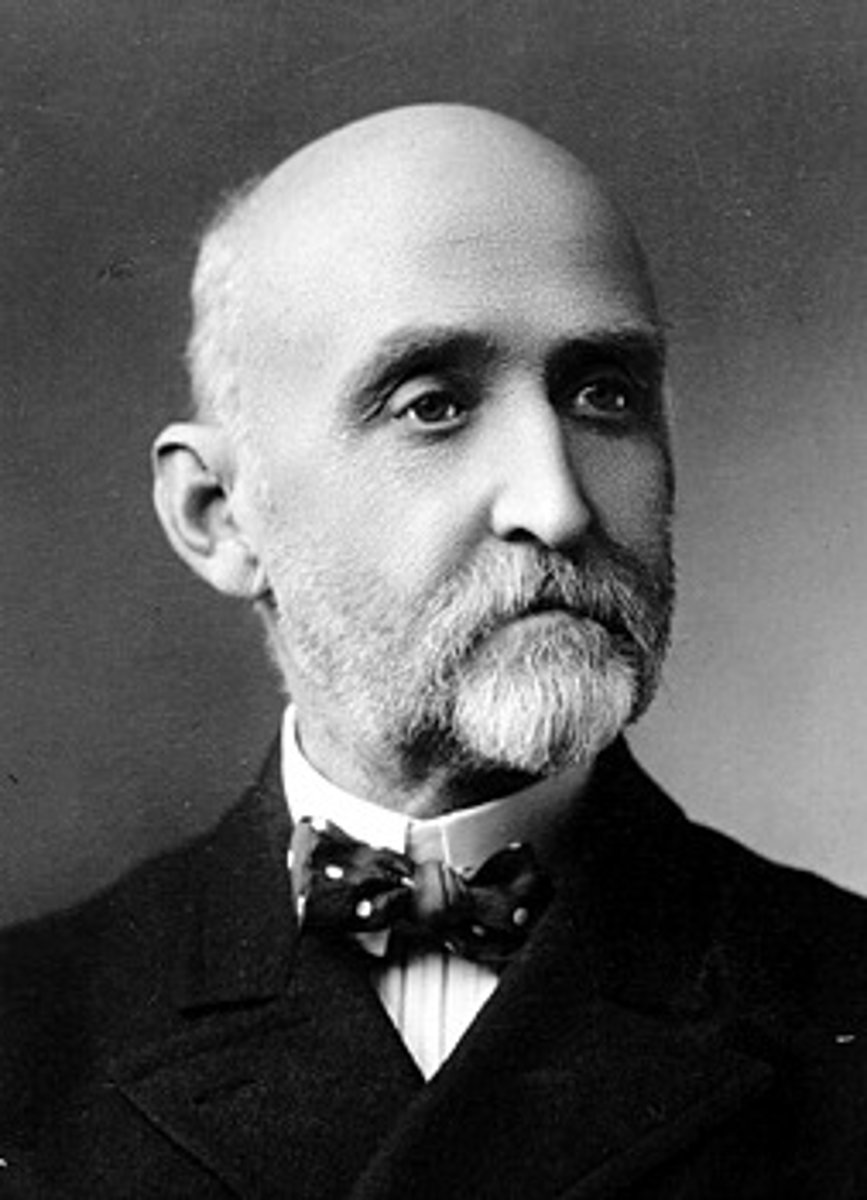 <p>Wrote The Influence of Sea Power upon History, which argued that control of the sea was the key to world dominance; it stimulated the naval race among the great powers. Which describe "the most important American strategist of the nineteenth century."</p>