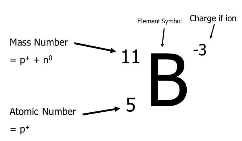 <p>Mass Number - Atomic Number</p>