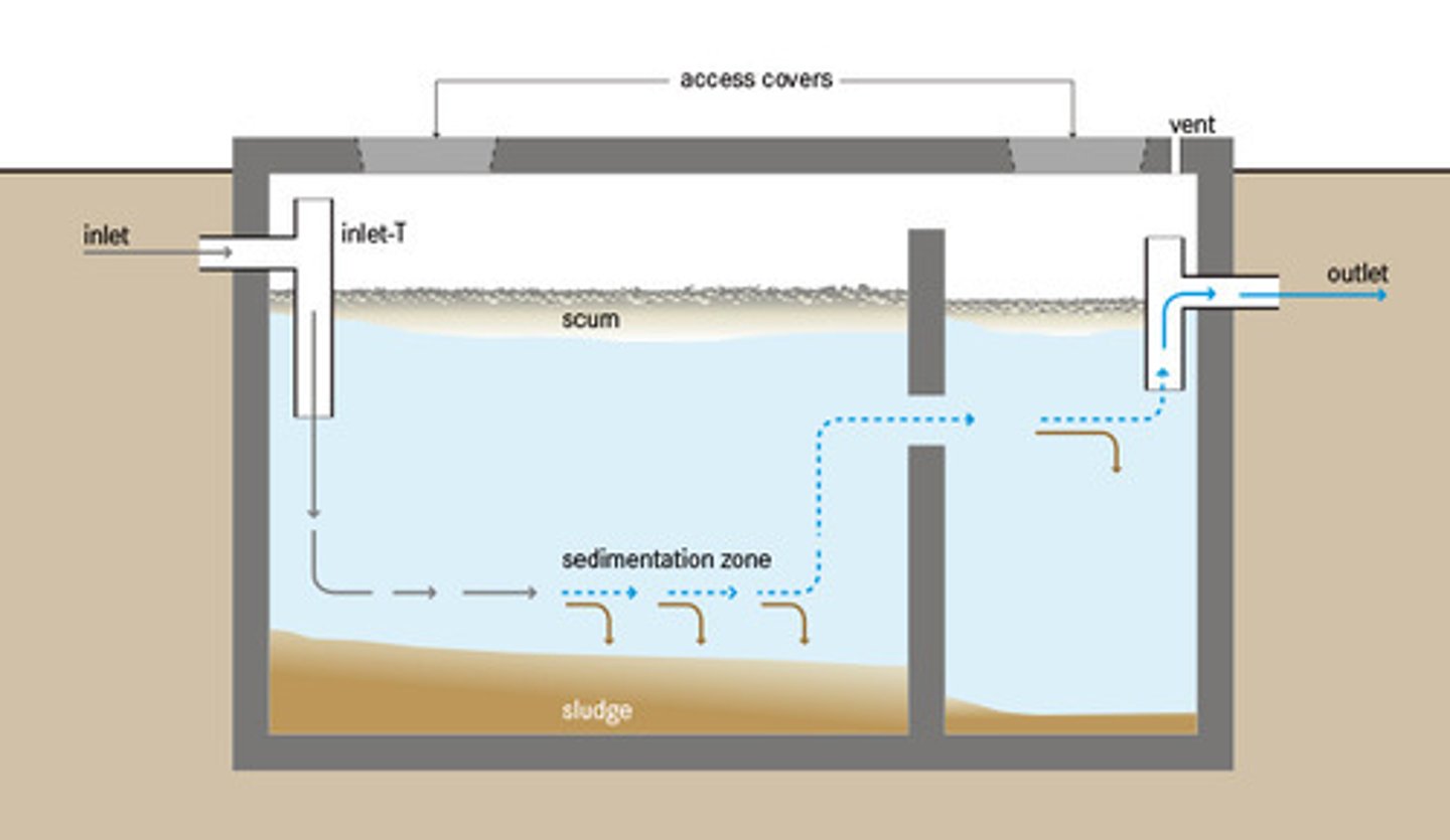 <p>A layer of fairly clear water found in the middle of a septic tank.</p>