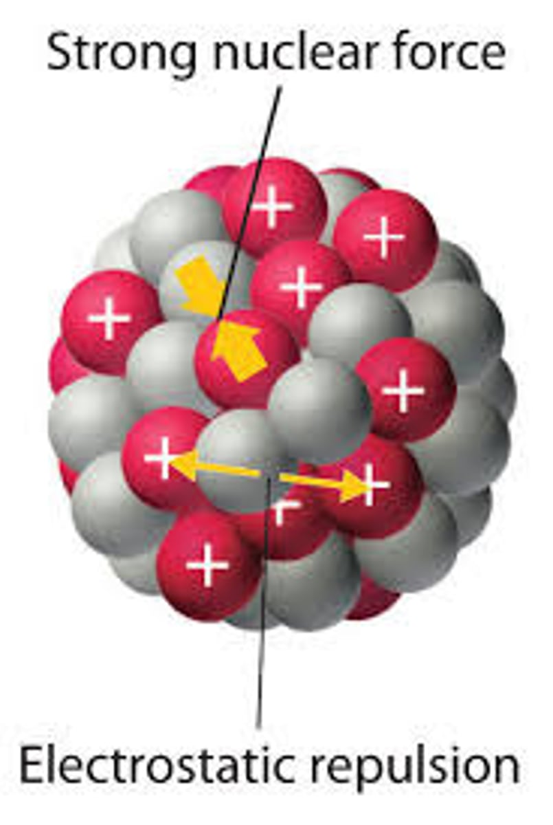 <p>The nuclear strong force accounts for the fact that the protons in the nucleus are both positively charged and yet are not repelling each other.</p>